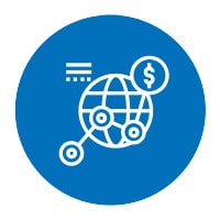 networking globe icon