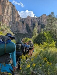 Back view of a hikers carrying backpacks and gear with plants and tall rock structure ahead