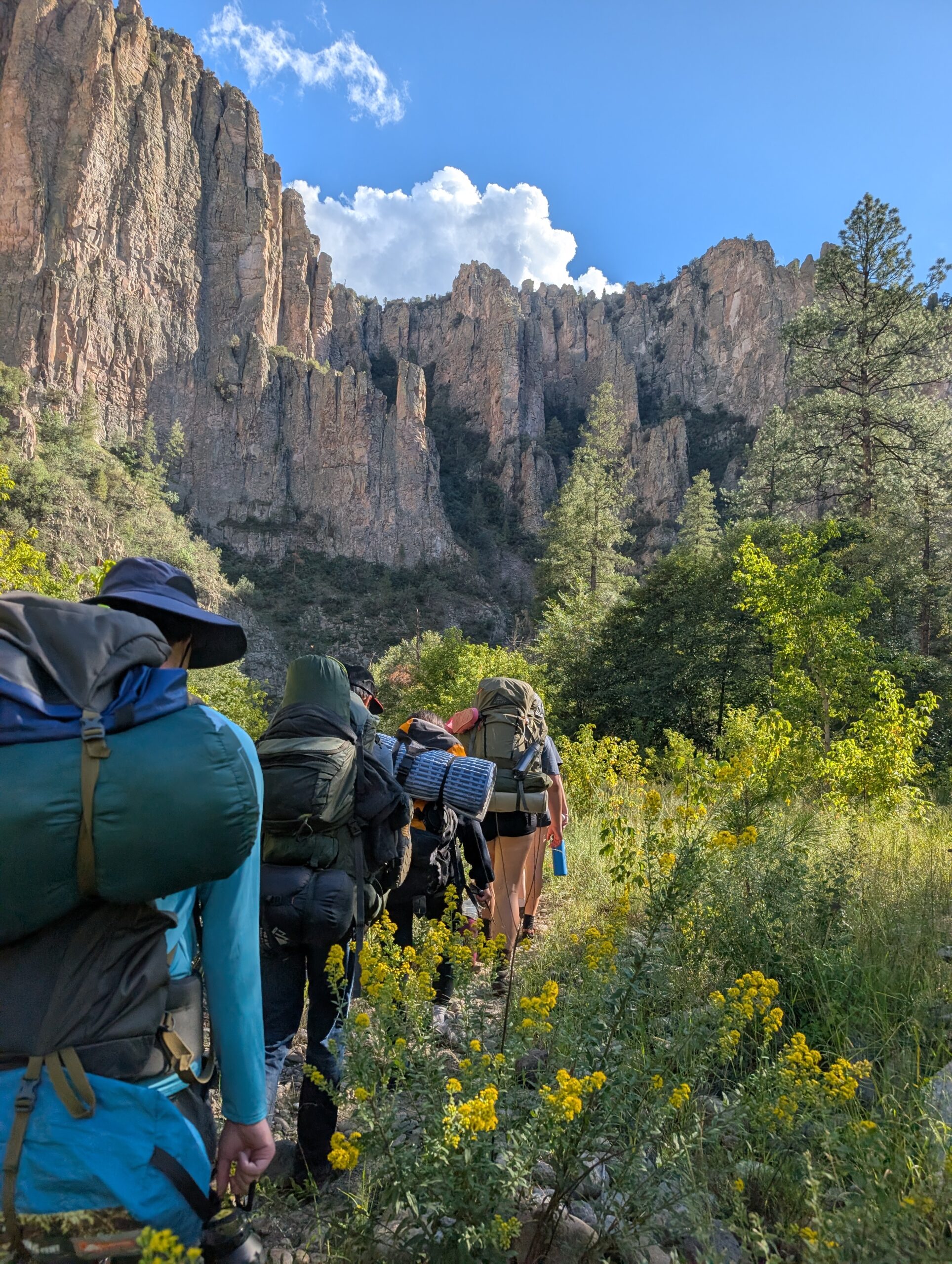 View of a line of hikers from behind with sheer rockface ahead and green field.