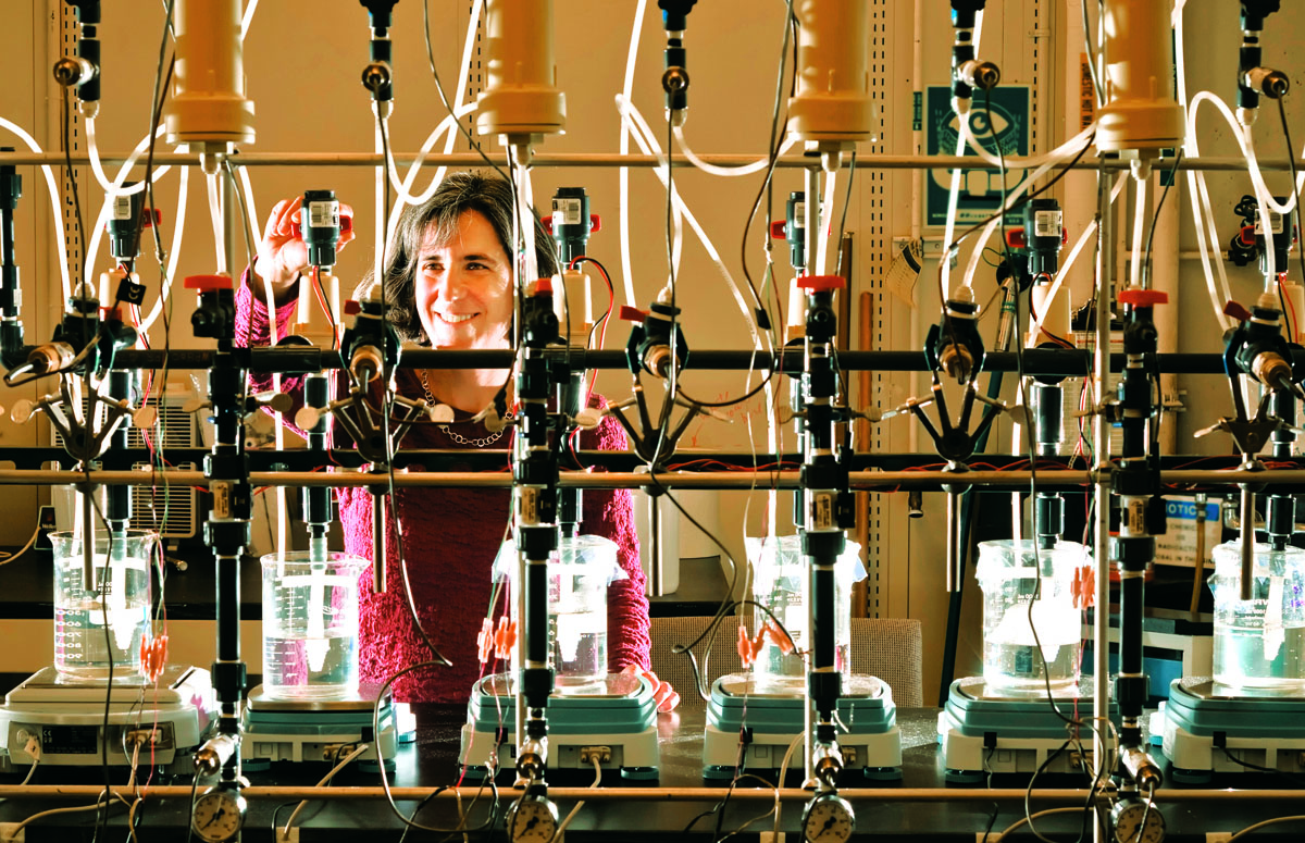Innovation Scientist looking at beakers
