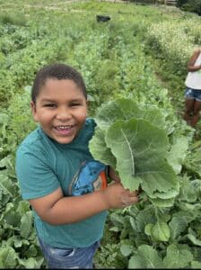 Young boy holding a big leafy plant in a farm field of leafy plants.