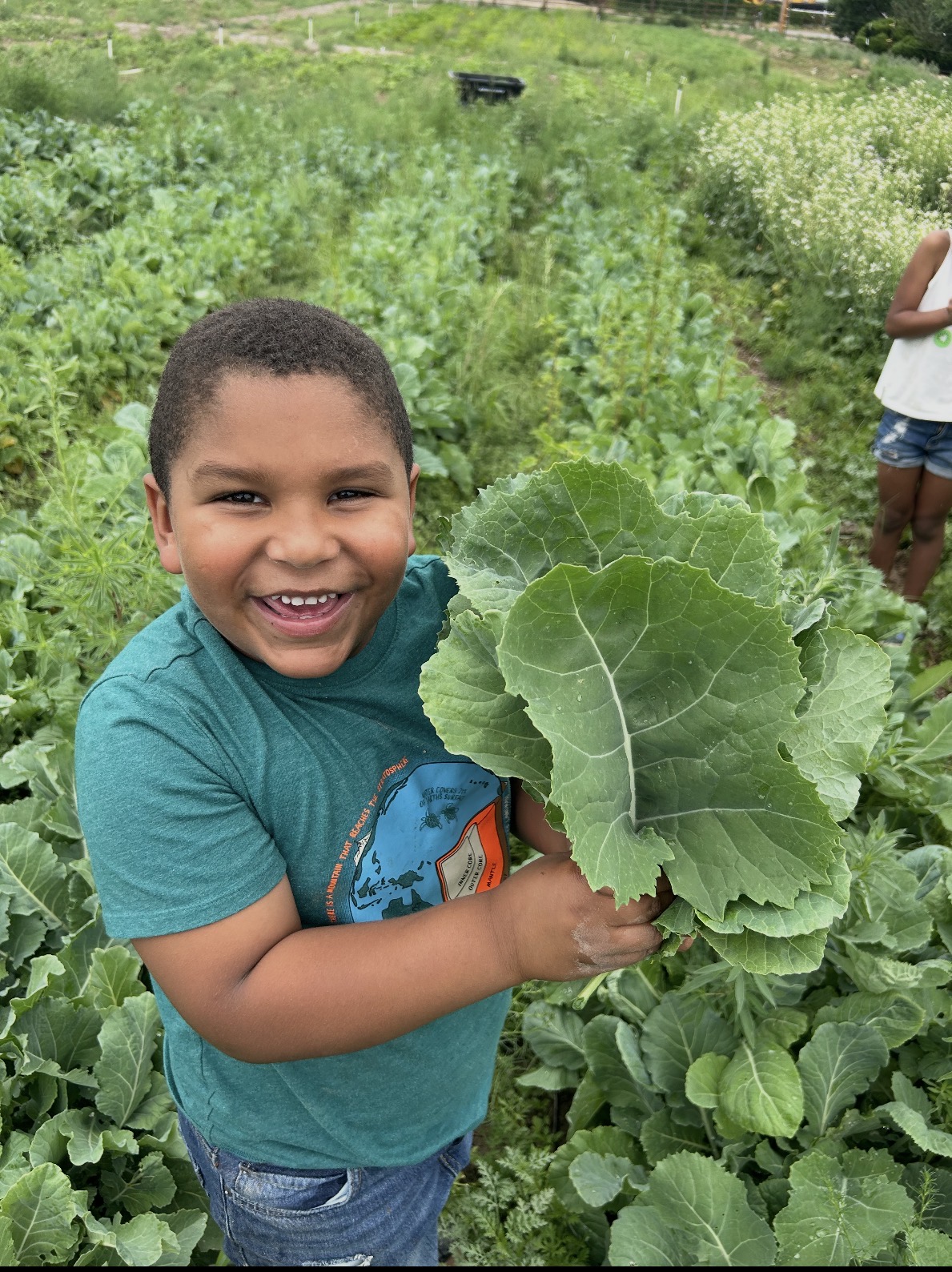 Young boy shows off green plant amongst many plants in farm rows.